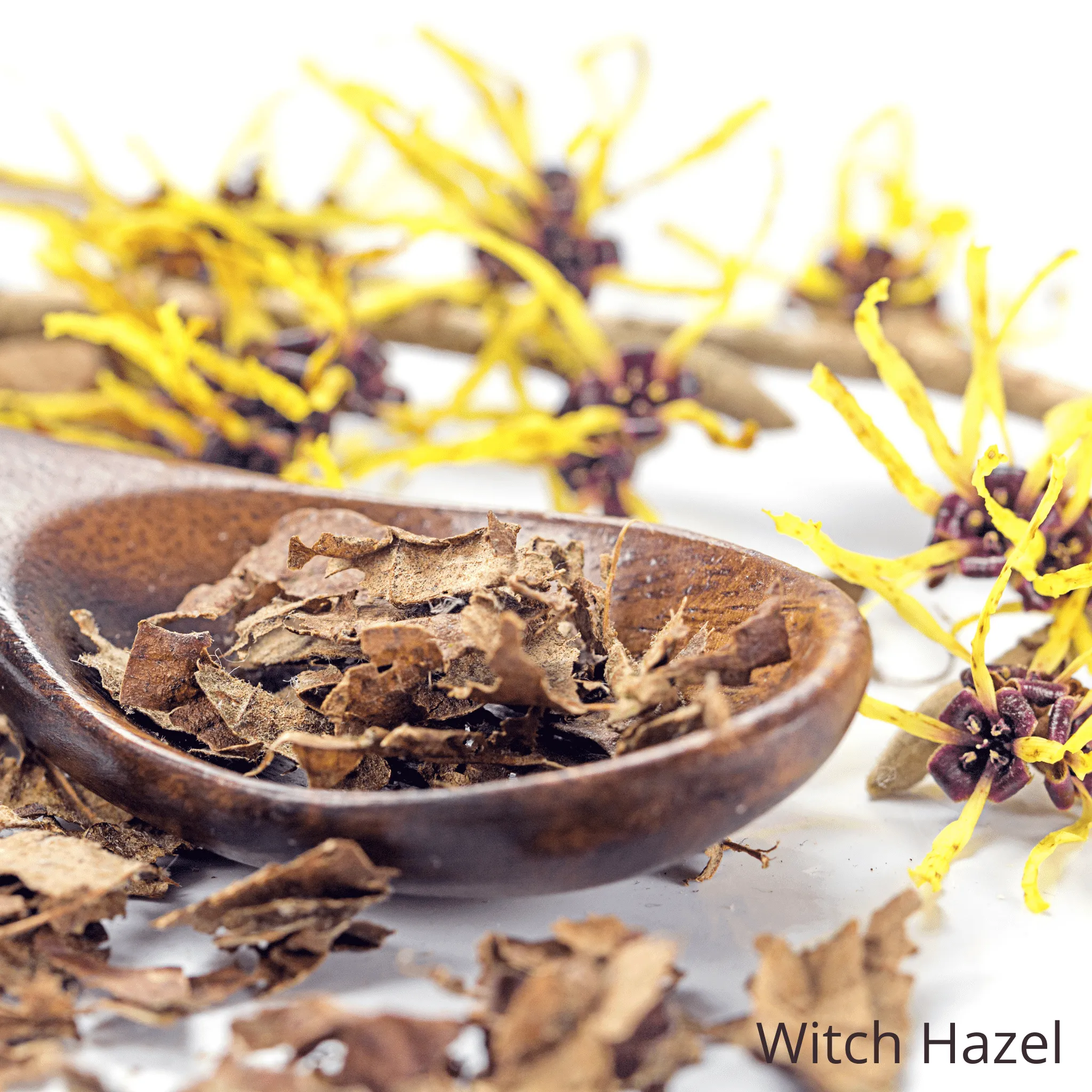 Carrot   Calendula Toner