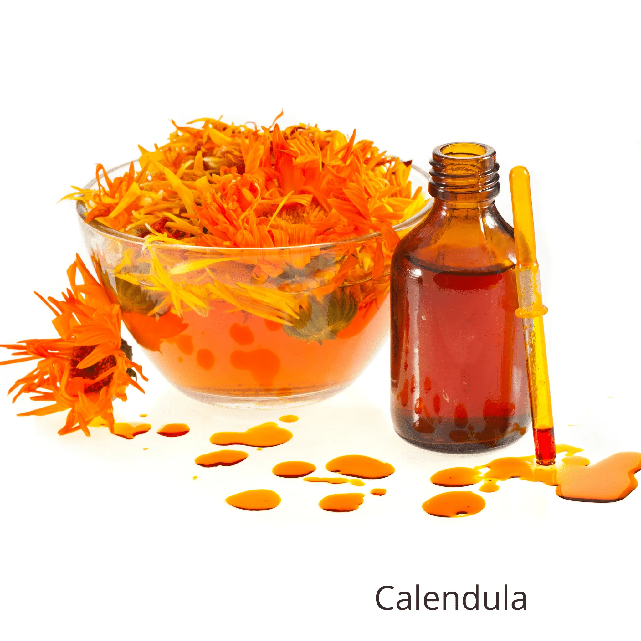 Carrot   Calendula Toner