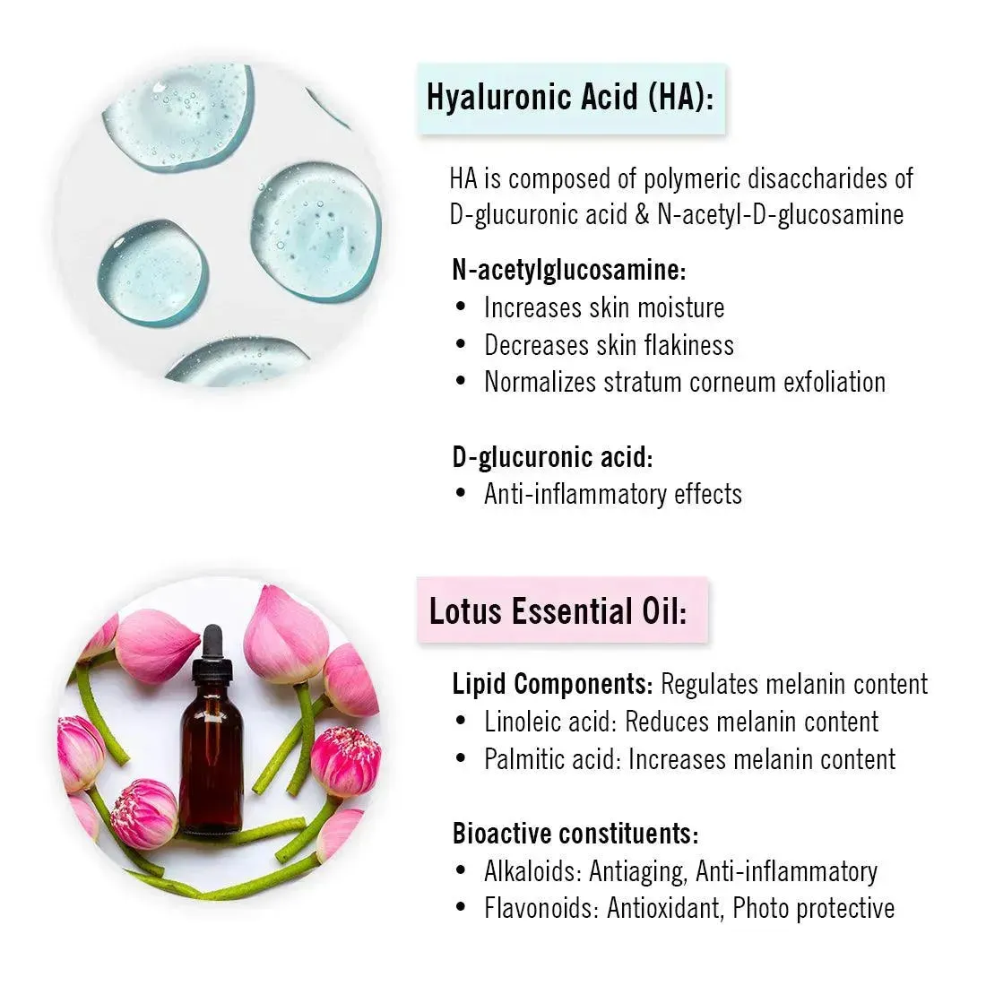 Hyaluronic Lotus Hydrating Gel Moisturizer, Pentavitin   Beet Root Extract, NMFs   Lipids, Intense Moisturization & Skin Barrier Repair