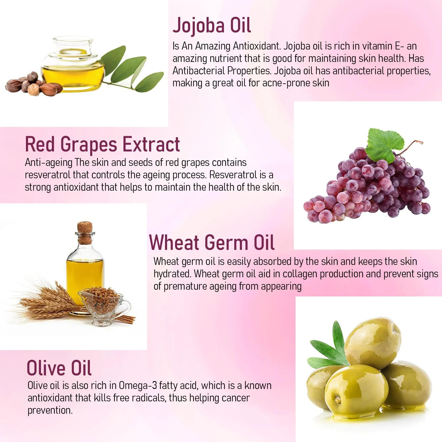 Wine Mini Facial Kit | For Glow & Brighter Skin tone(100ml)